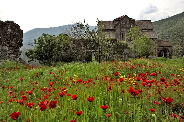 Un champ de coquelicots d’un rouge éclatant en fleurs devant un vieux bâtiment en pierre.